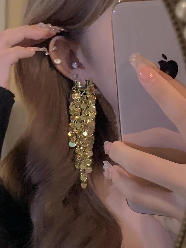 Silver Needle Diamond Fringed Metal Earrings European and American Fashion Long Earrings Light Luxury Personality Design Earrings Women