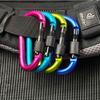 Locking D-Shaped Aluminum Alloy Quickdraw Hook for Backpack or Water Bottle