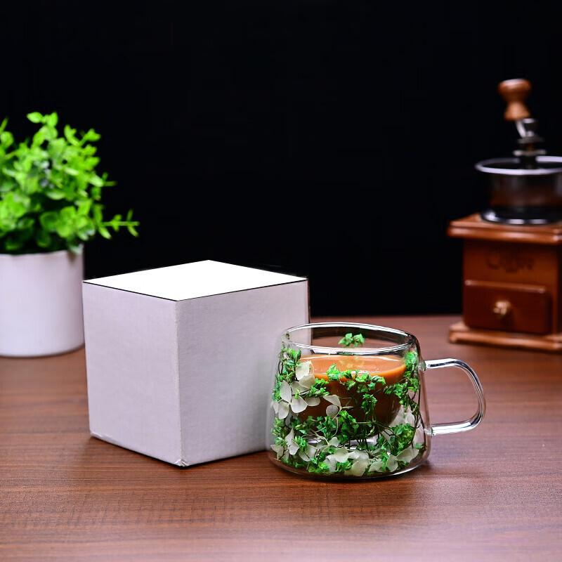 Shangqi Glass Coffee Mug Set with Handle