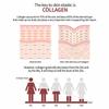 [esfolio] Peptide Collagen Serum 50ml