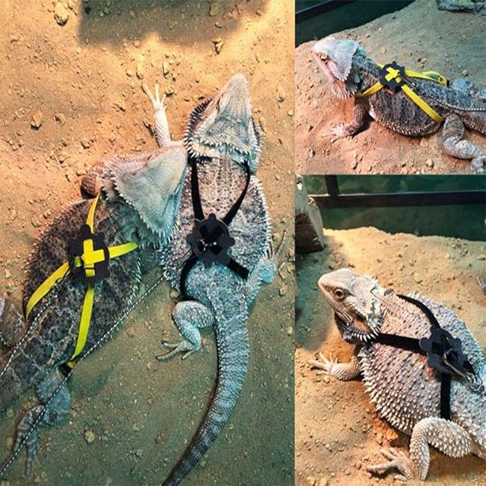 Soft Strap Lizard Traction Rope Creative Pet Turtle Harness Pet Tortoise Leash  Pet Supplies