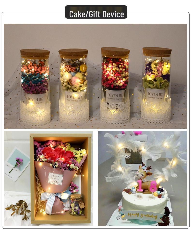 Dimmable USB Remote LED Fairy Lights - Copper Wire for Christmas, Holidays, Rooms, Outdoors, and Camping