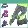 Premium Quality Fitness Workout Clothing Women's Gym Sports Running Girls Slim Leggings And Tops