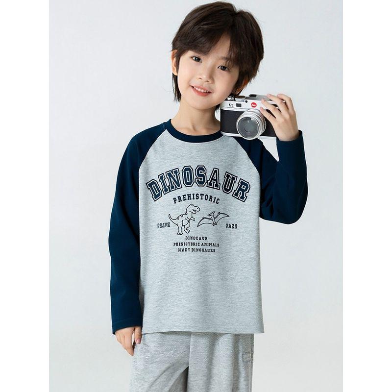 New Korean-Style Spring Tops for Older Children, Children's Clothing, Boys' Cartoon Dinosaur Long-Sleeve T-Shirt, Raglan Pure Cotton Base Shirt