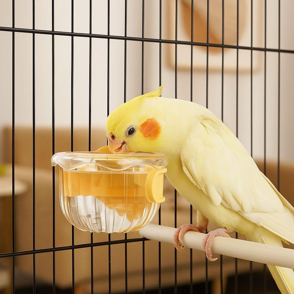 Wide Mouth Bird Food Bowl Hanging Bird Feeder Cup Pet Accessories Bird Cage Feeder Pet Aviary