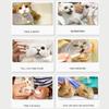 4Pcs Cat Protection Anti-scratch Cat Foot Covers Small Protective Cat Shoes Comfortable Soft Pet Cleaning Supplies Home