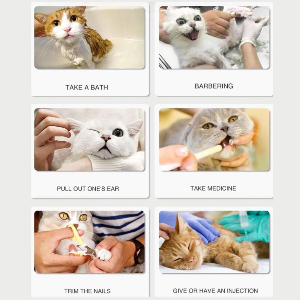 4Pcs Cat Protection Anti-scratch Cat Foot Covers Small Protective Cat Shoes Comfortable Soft Pet Cleaning Supplies Home