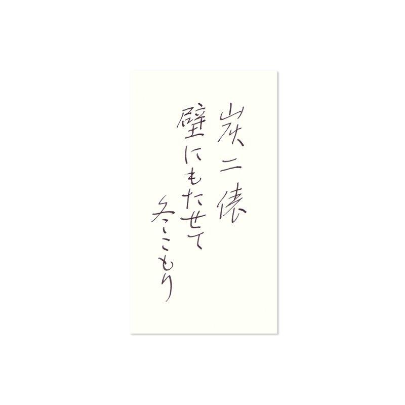 Pilot Iroshizuku Fountain Pen Mini Bottle 15ml INK15TAK Water-Based Ink, [Bamboo Charcoal]