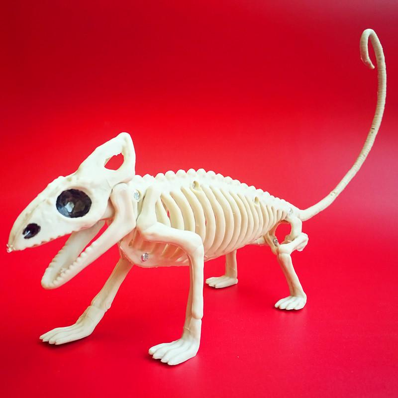 Halloween Skeleton Animal Set: Bat, Spider, Scorpion, Mouse, Snake, Toad & Haunted House Props