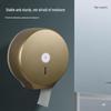Waterproof Large Roll Toilet Paper Dispenser