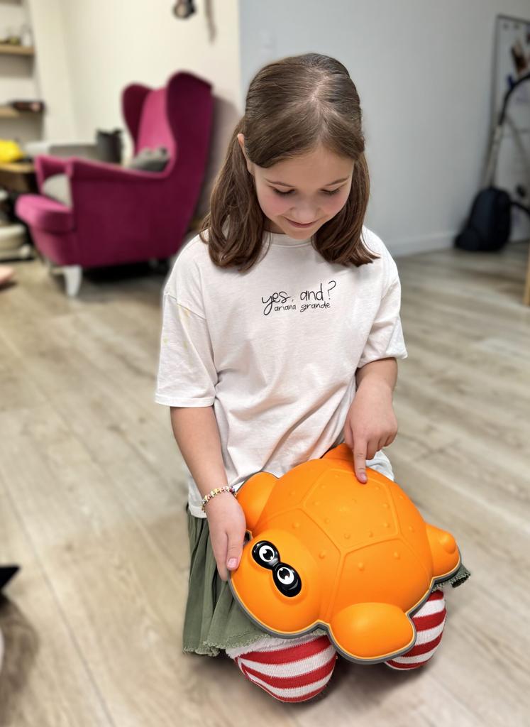 Sensors Path River Stones Turtle - Orange