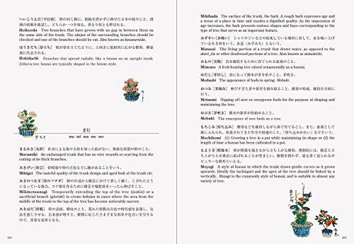 Bonsai Bonsai New Edition