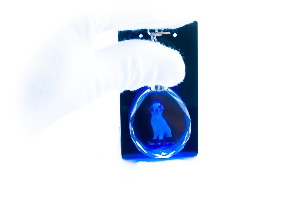 Clumber Spaniel - Pendant with a Photo of a Dog, Crystal Key Ring In a Gift Box, a Unique Gift by Art-Dog
