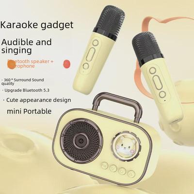 Tragbarer Bluetooth-Karaoke-Lautsprecher mit zwei Mikrofonen für den Einsatz im Freien und zu Hause