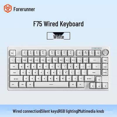 Pioneer F75 RGB Wired Mechanical Feel Keyboard