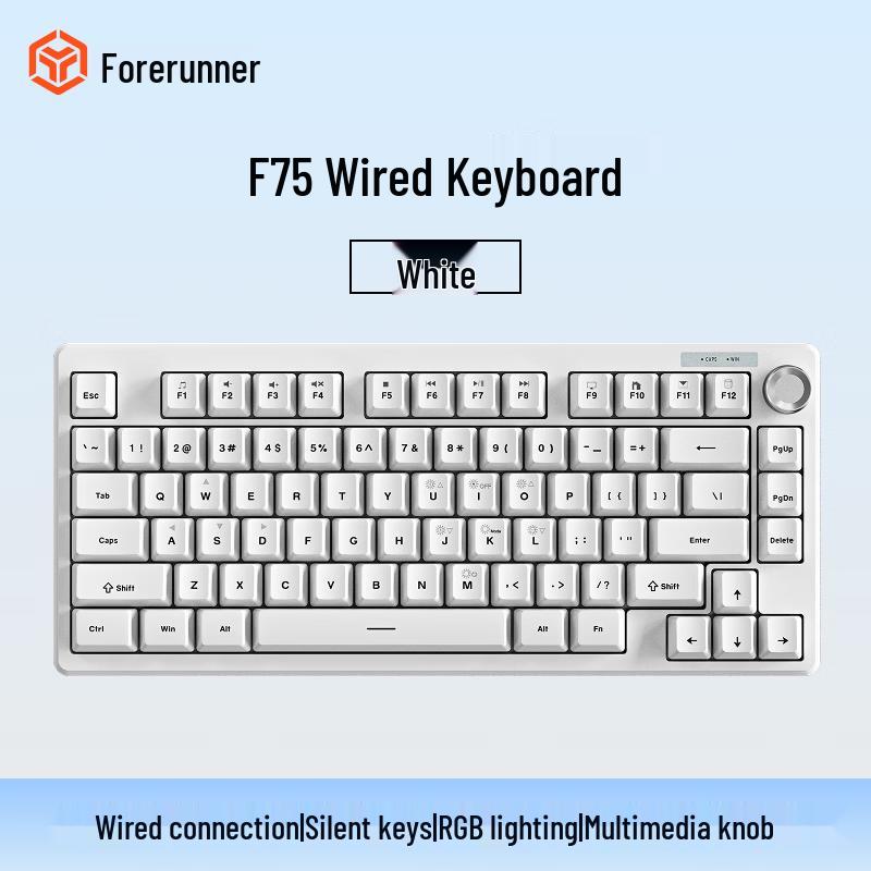

Pioneer F75 RGB Wired Mechanical Feel Keyboard