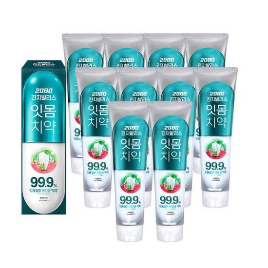 2080 Gingivalis Gum Care Toothpaste Herbal Mint Fresh Breath 150g × 10 Packs