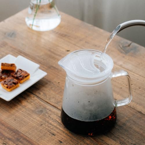 Hario Teapot Without Lid, Clear, Simple Design, 450ml, FNC-45-T