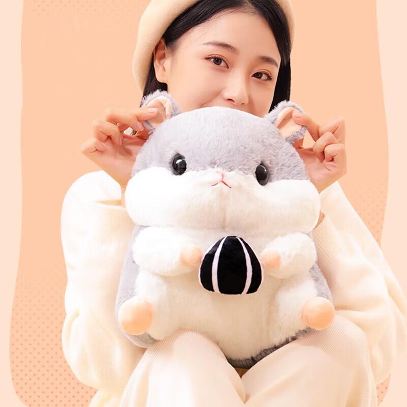 Rechargeable Electric Hot Water Bottle