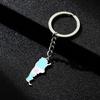 Argentina Border Line Map Flag Keychain Charm Pendant Keyring for Women Men