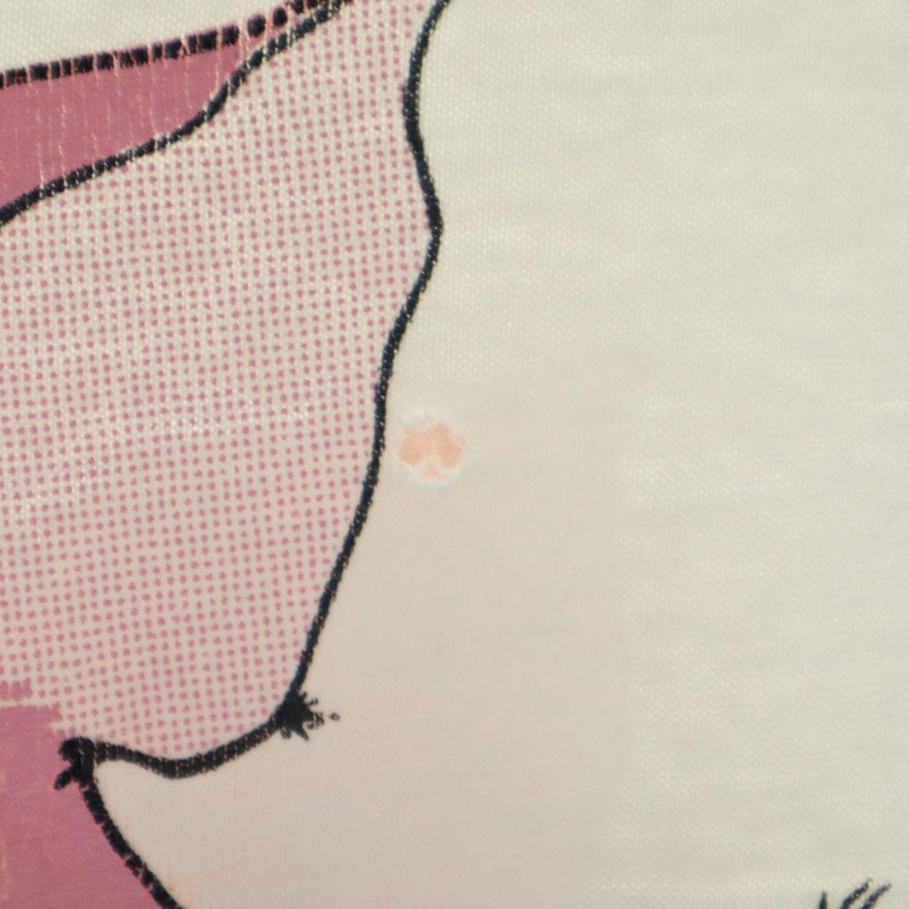 FRUIT OF THE LOOM 90s Old double-sided print Short sleeve T-shirt XL Men's Used