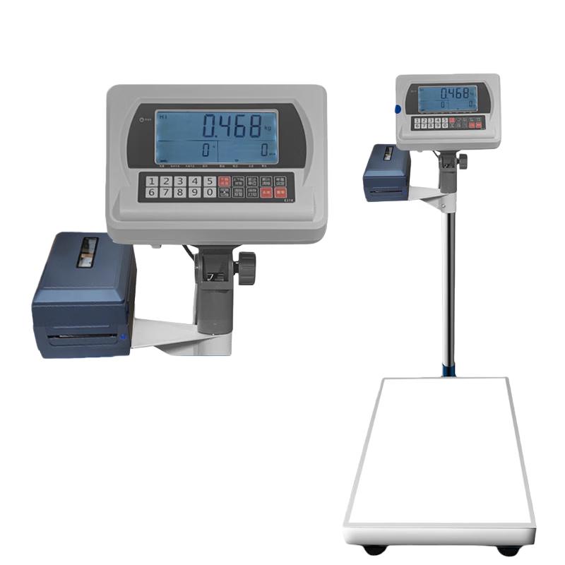 

Hengcheng Electronic Counting Scale with Printer (CN version)