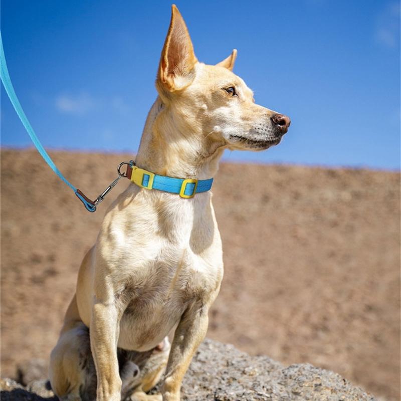 Heavy Duty Dog Collar Leash for Large Medium Dogs Walking Hiking Harnesses Strong Pet Dog Leash