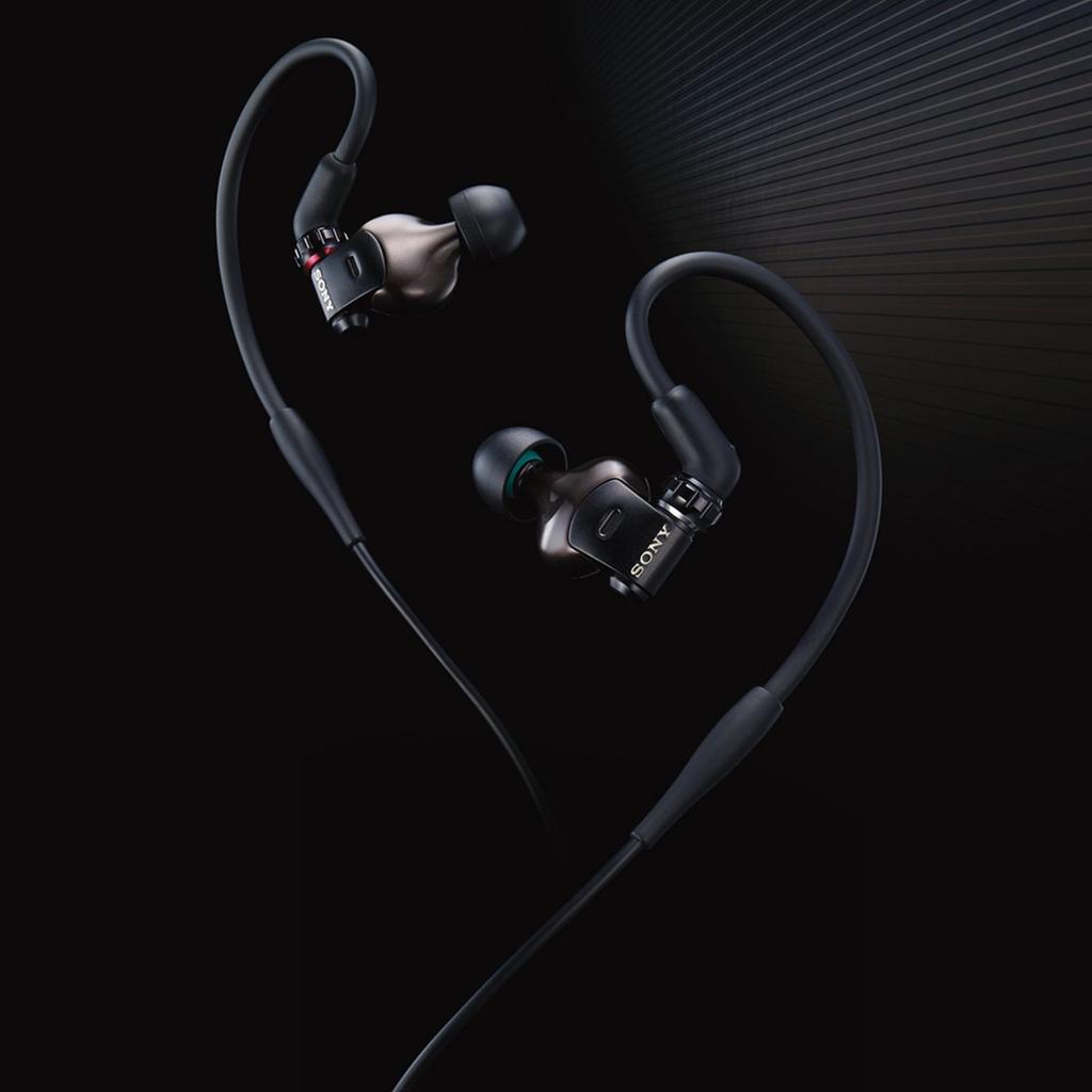 Sony MDR-EX1000 In-Ear Earphones with Detachable Cable