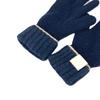 Loewe Anagram Logo Gloves Leather Tag Leather Tag Gloves Wool Navy