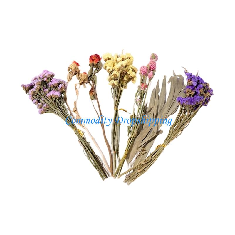 

Y5JC Hamster Bedding Dried Floral Arrangement Cage Accessory Habitat Decors