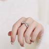 2026 European and American fashion high-end leopard head opening ring female personality ins index finger ring trendy accessories