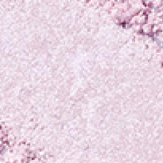 rom&nd slide in single