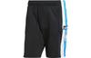 adidas Originals Adicolor Adibreak Shorts IV5339