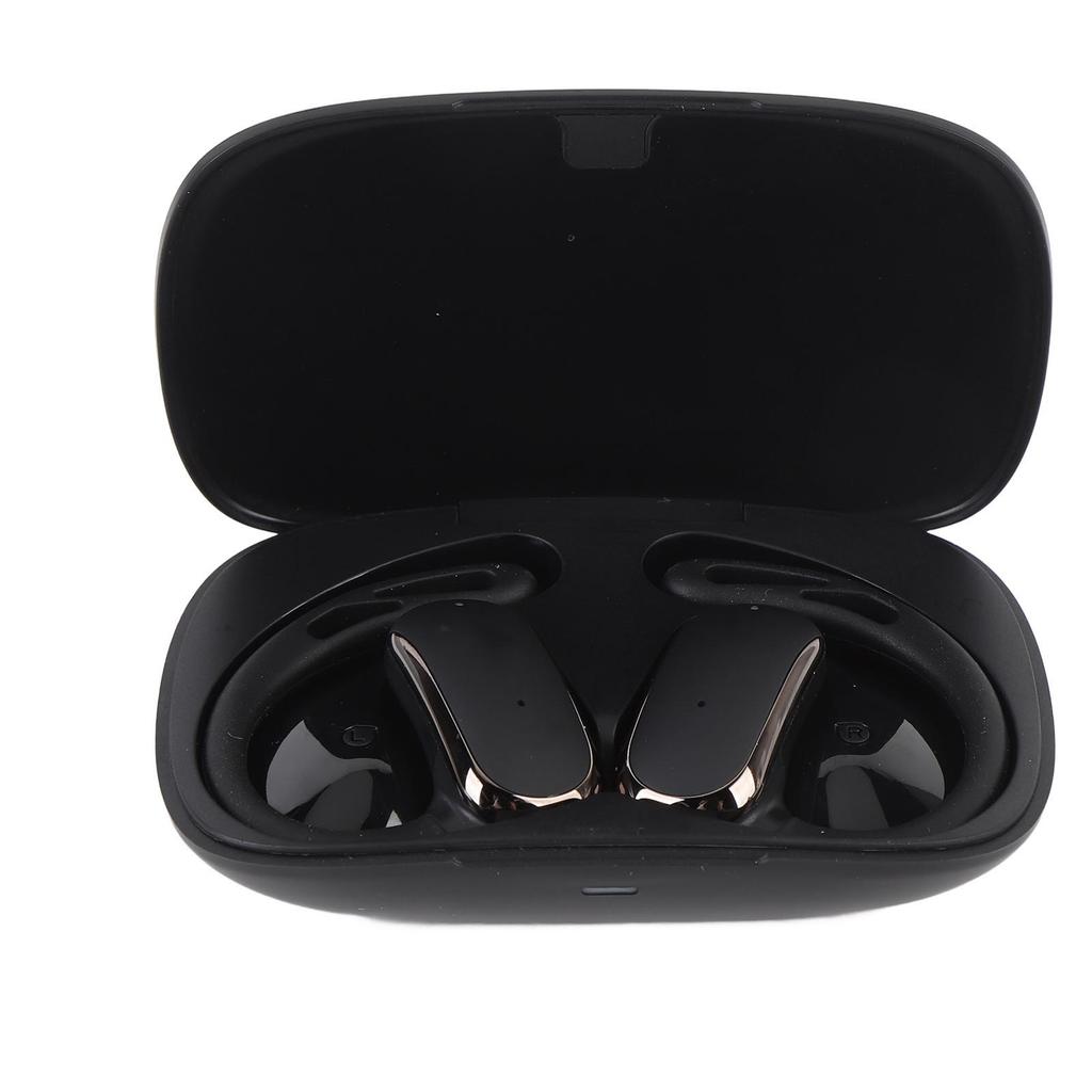 Translation Earphone 142 Languages Real Time Translator Earbuds for Travel Business Negotiation