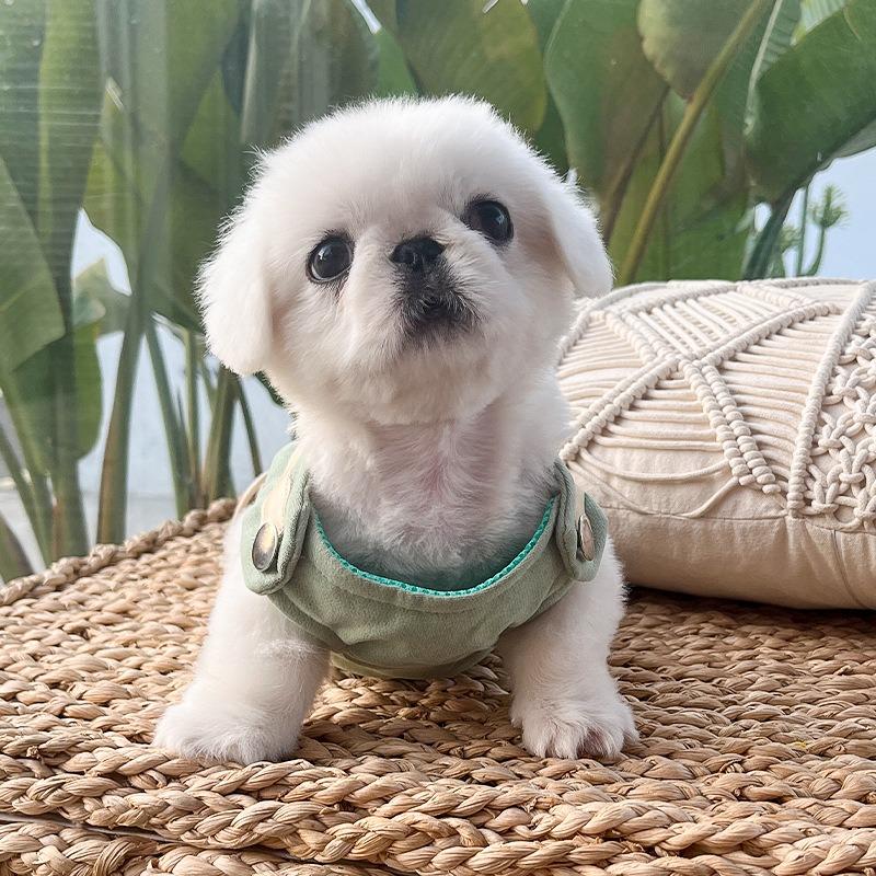 Pet Out Walking Dog Explosion-proof Punch Cat Leash Dog Cat Outdoor Chest Strap Dog Supplies Clothes