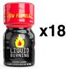 LIQUID BURNING 10ml X18 - BGP Leather Cleaner - LC Packs