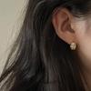 14k Shell Earrings