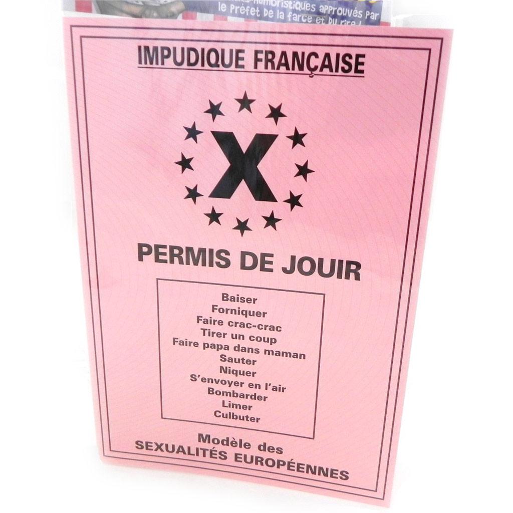 Les Trésors De Lily [H6979] - Carte spéciale 'Permis de jouir' - 20. 5x14. 5 cm