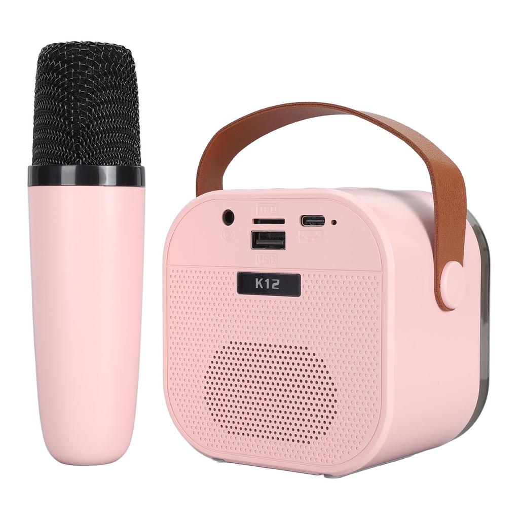 Taşınabilir Karaoke Makinesi LED Dinamik Işık Küçük Hoparlör Mikrofonlu 4 ila 12 Yaş Çocuklar Yetişkinler İçin