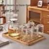 ZISIZ Elegant Household Glass Cup Set