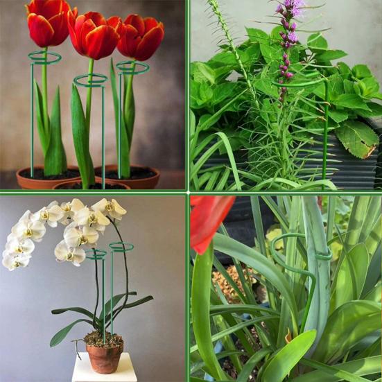 12 Pcs Tomato Twist Stakes Spiral Plant Support Stakes Climbing Plant Stakes for Tomato Butterfly Orchid Flowers Home Gardening