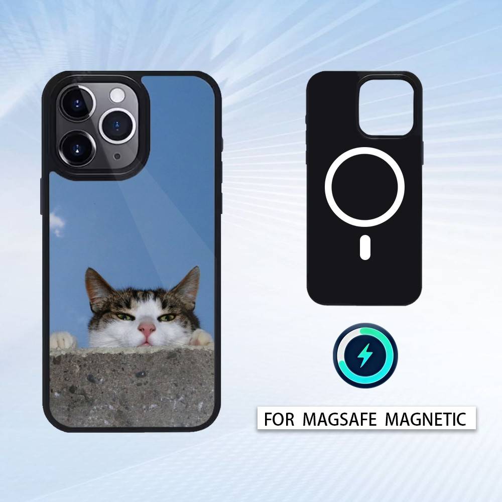 Cool Cat Cute Phone Case Magnetic For iPhone17 16 15 14 13 12 Pro Max For Magsafe Wireless Charging Cover