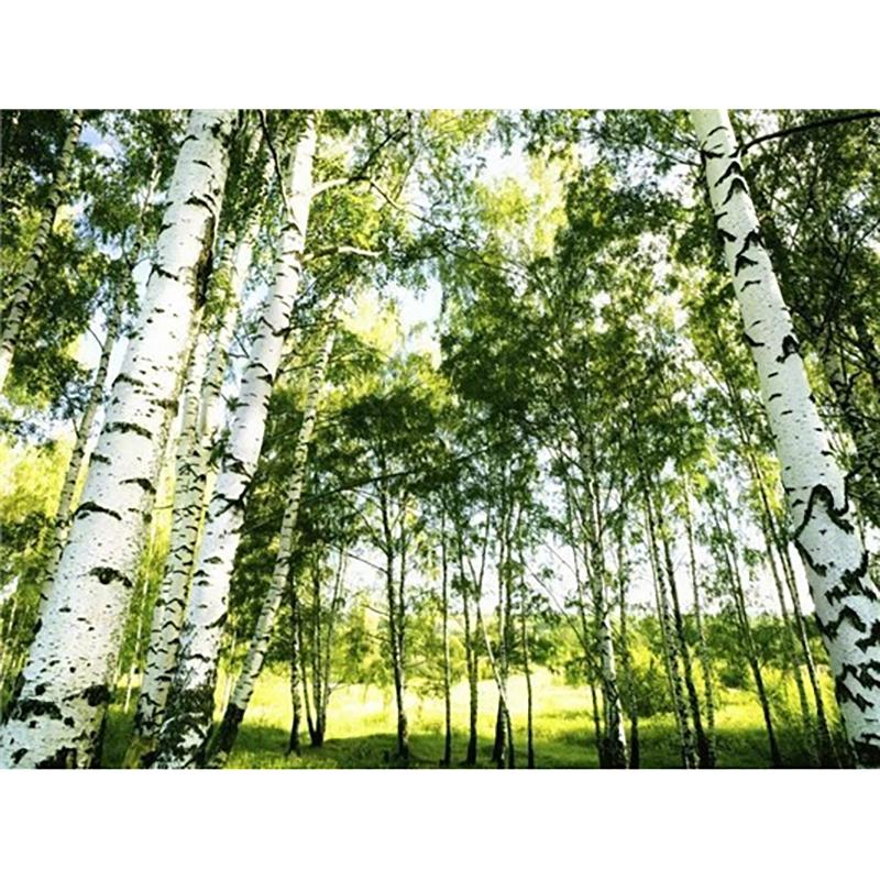 Fai da te Foresta Pittura Diamante 5D Trapano Rotondo Completo Albero Scenico Ricamo Diamante Punto Croce Kit Mosaico Arte da Parete Decorazione Casa