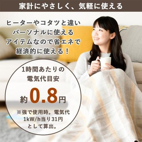 Yamazen Electric Blanket, Electric Blanket, 140 x 80 cm, Single, with Timer, Washable, Energy Saving, Antibacterial, Odor Resistant, Dust Mite Prevent