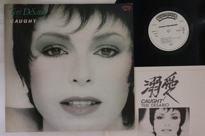 LP Record TERI DESARIO  Caught 25S10PROMO CASABLANCA 1980 Japan Rock Used