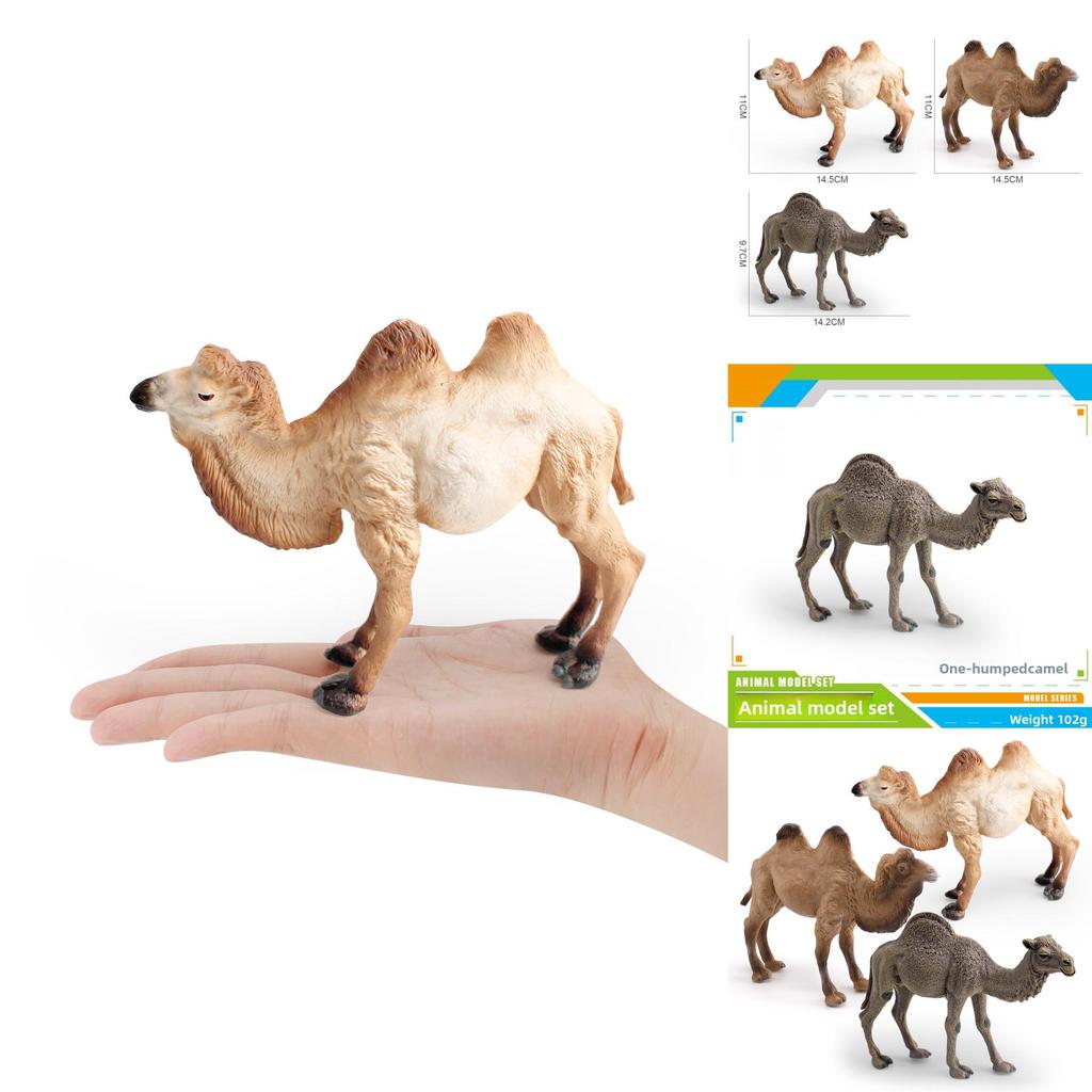 Wildlife Animal Pvc Toy Camel Model For Children Educational Playroom Decor