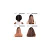Shampoing Absolut Repair Molecular 300ml