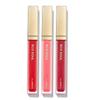 ECO SOUL Shine Lip Gloss PK03 Modern Fig 4.3g_US