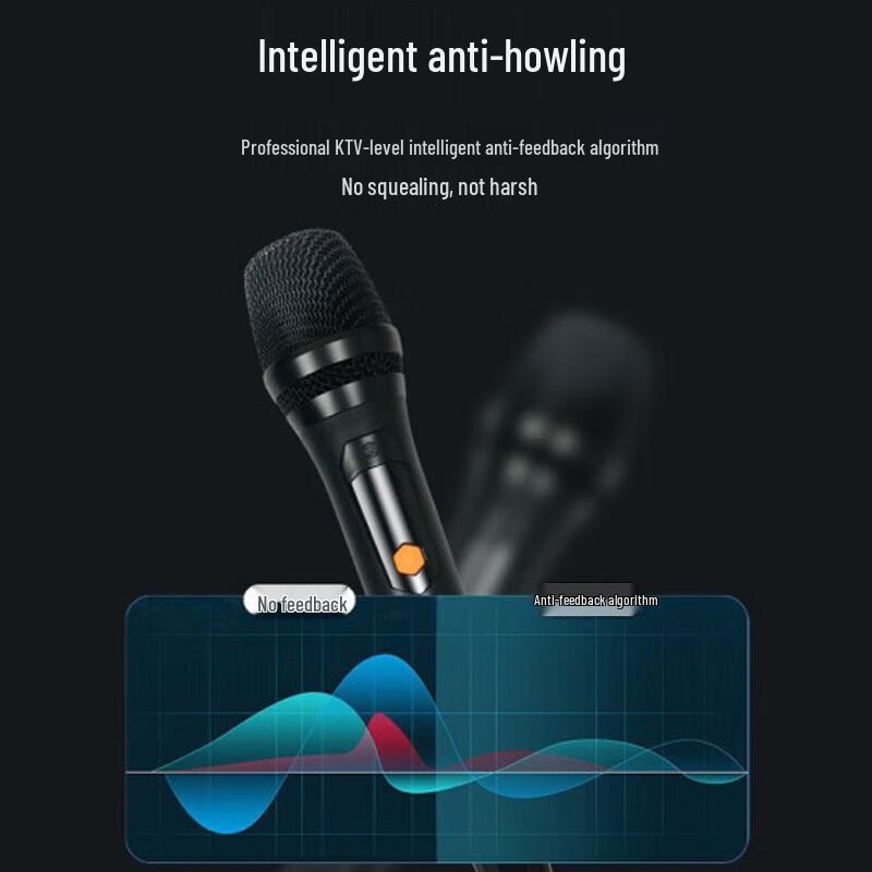 Philips SD617 Outdoor Bluetooth Speaker System CN Plug (adapter Included)
