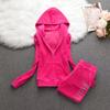 2 Pieces of Women's Outfit Fall Winter Women's Tracksuit Crystal Hoodies and Pant Sets Y2K Velvet Tracksuit